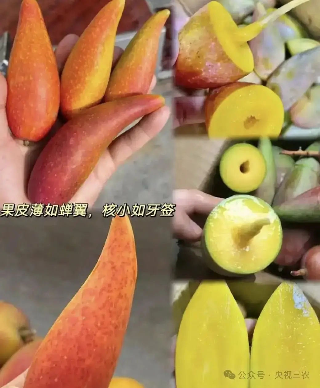 盘点果蔬界的多个“大忽悠”，注意避坑！