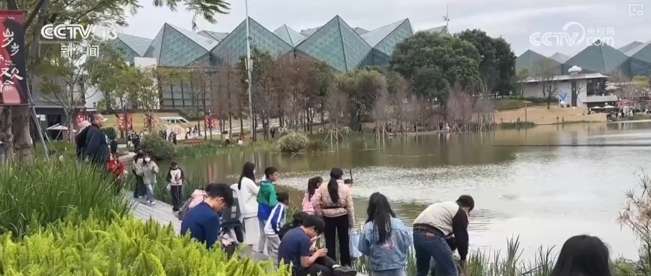 天鹅、梅花鹿、绿植……“公园+商业”凭实力圈粉 释放消费“新”潜力