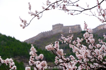 收藏！开往春天的列车最新画面