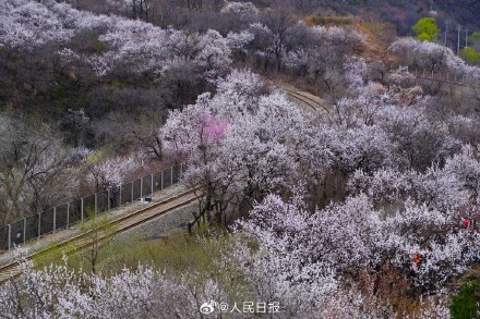 收藏！开往春天的列车最新画面