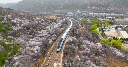 收藏！开往春天的列车最新画面