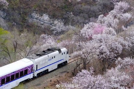 收藏！开往春天的列车最新画面