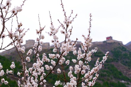 收藏！开往春天的列车最新画面