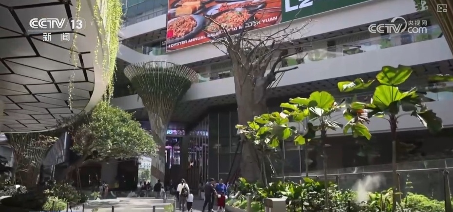 天鹅、梅花鹿、绿植……“公园+商业”凭实力圈粉 释放消费“新”潜力