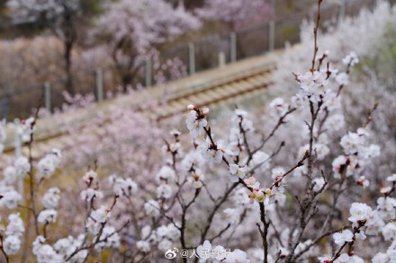 收藏！开往春天的列车最新画面