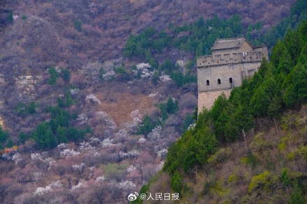 收藏！开往春天的列车最新画面