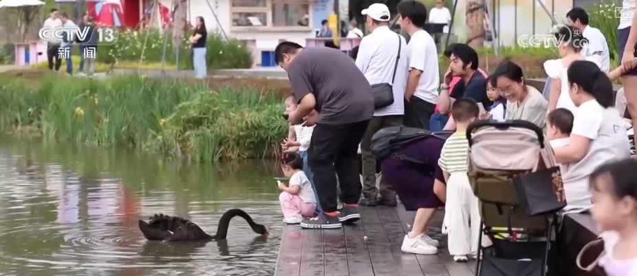 天鹅、梅花鹿、绿植……“公园+商业”凭实力圈粉 释放消费“新”潜力