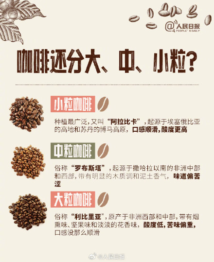 转存长知识!原来咖啡也分大中小粒 转存长知识!原来咖啡也分大中小粒