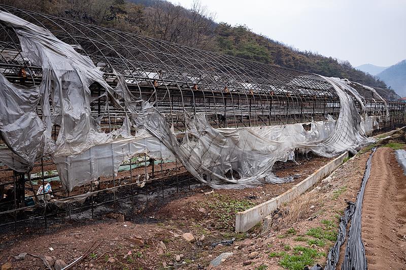 韩国山火已致30人死亡,受灾面积已超韩国历史最高水平 韩国山火已致30人死亡,受灾面积已超韩国历史最高水平