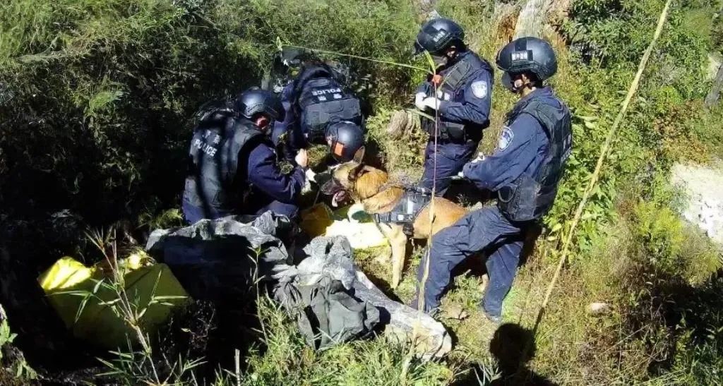 “爸爸，你疼吗？”