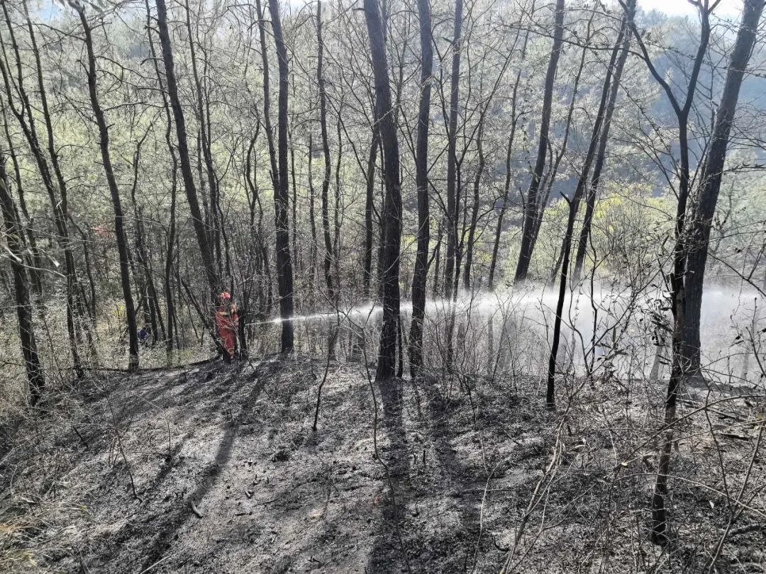 祭祀烧纸引发山火，姚某某被行拘！