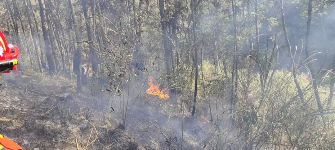 祭祀烧纸引发山火，姚某某被行拘！