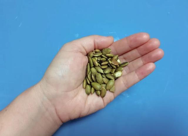 爱吃南瓜籽的有福了，每天 1 小把，竟有这么多意想不到的好处！