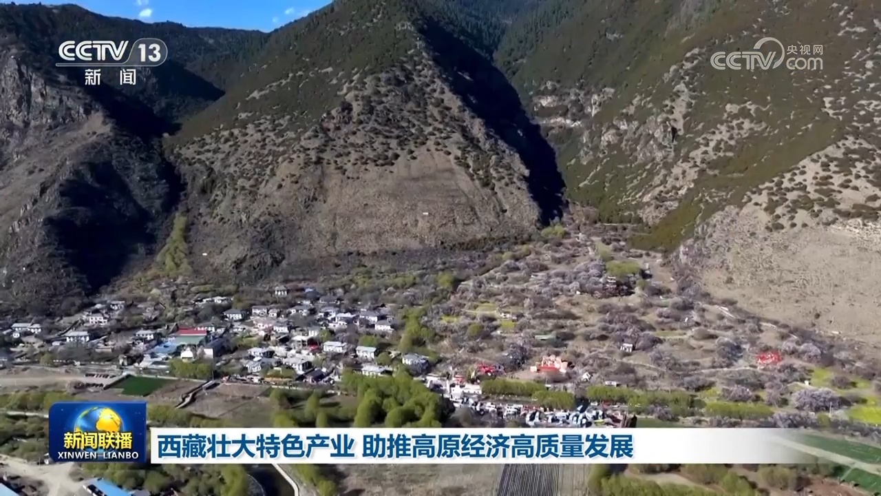 西藏壮大特色产业 助推高原经济高质量发展