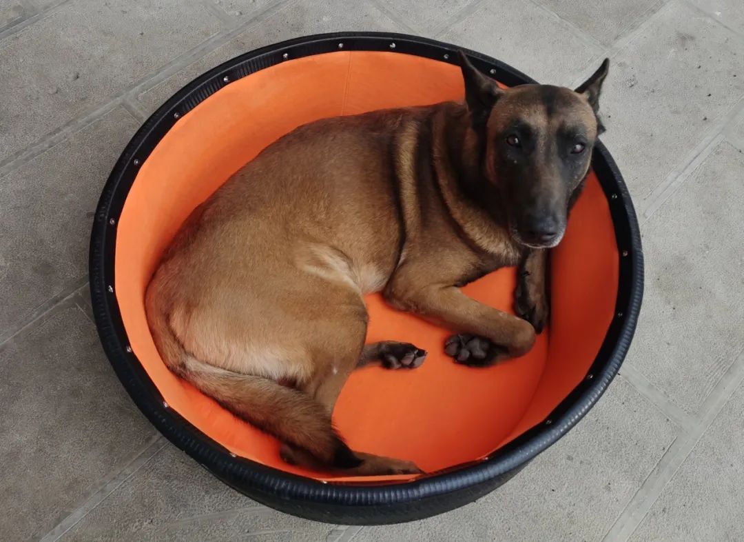 “爸爸，你疼吗？”