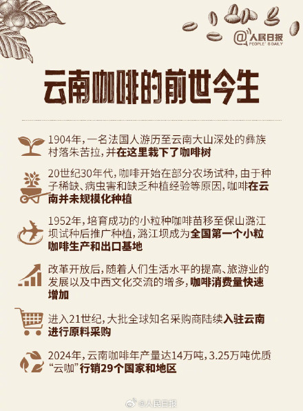 转存长知识!原来咖啡也分大中小粒 转存长知识!原来咖啡也分大中小粒