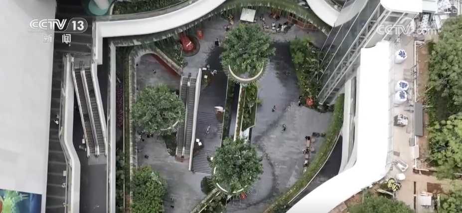 天鹅、梅花鹿、绿植……“公园+商业”凭实力圈粉 释放消费“新”潜力