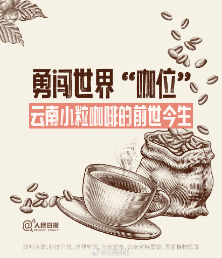 转存长知识!原来咖啡也分大中小粒 转存长知识!原来咖啡也分大中小粒