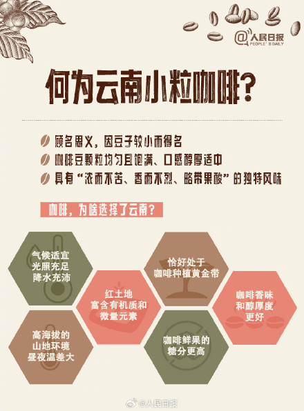 转存长知识!原来咖啡也分大中小粒 转存长知识!原来咖啡也分大中小粒