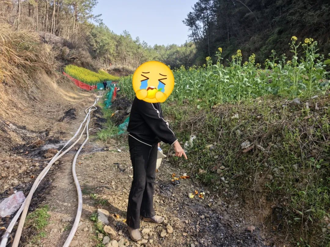 祭祀烧纸引发山火，姚某某被行拘！