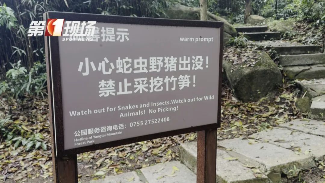 别挖了！别挖了！不好吃！