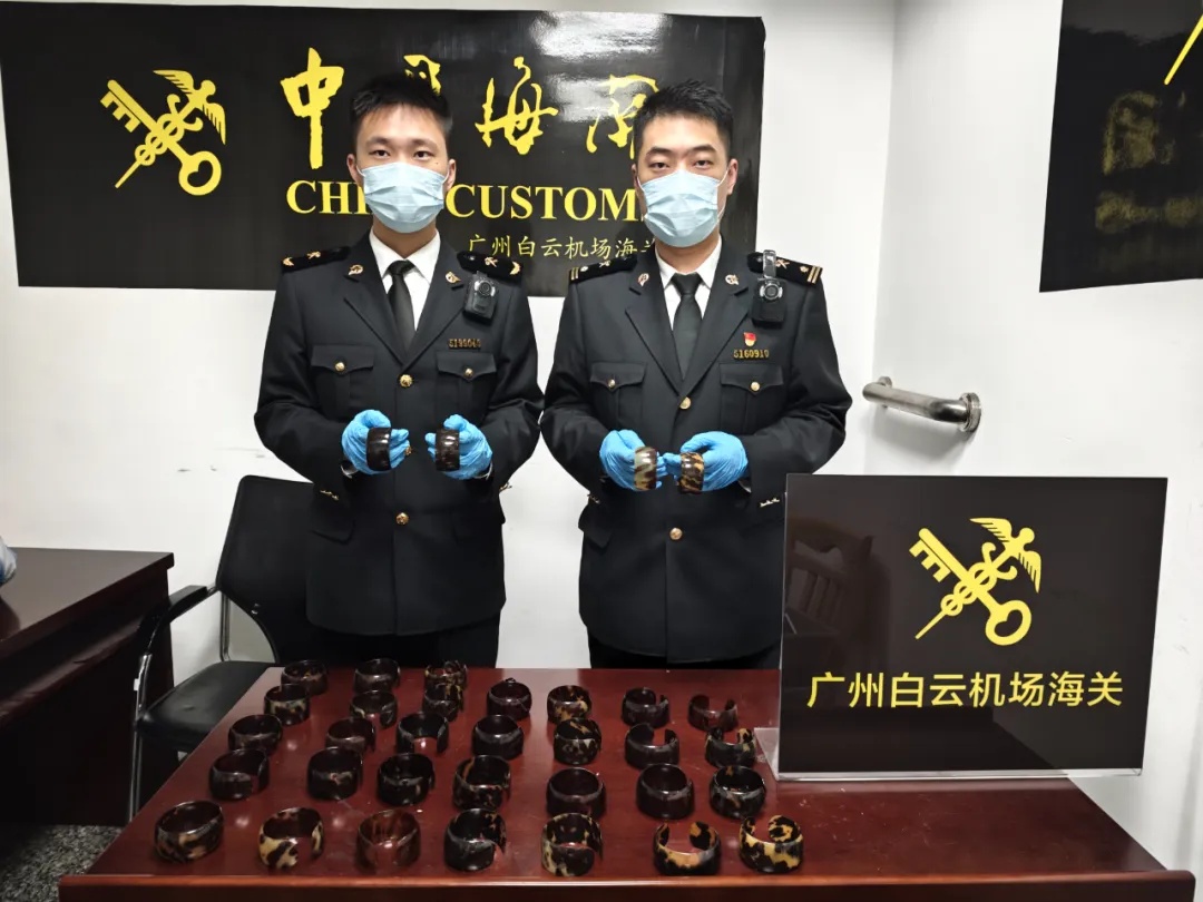 违规携带濒危动物制品进境 广州海关查获玳瑁手镯36件