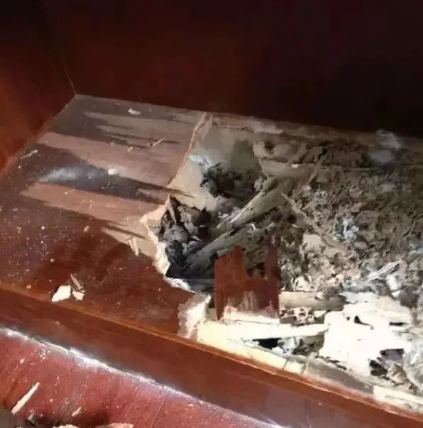 关门关窗!多地已出现! 关门关窗!多地已出现!