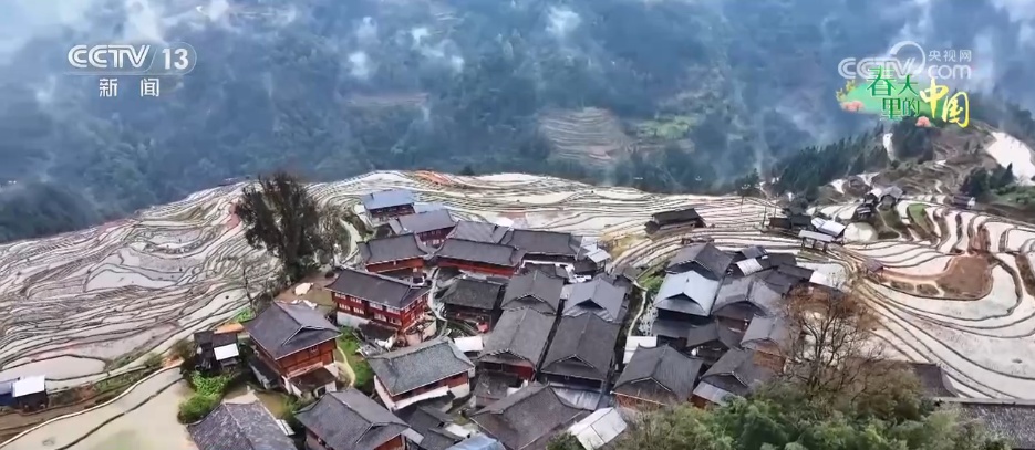 万象“耕”新绘“丰”景 各地多彩春耕画面拼就“三农”丰收盛景图