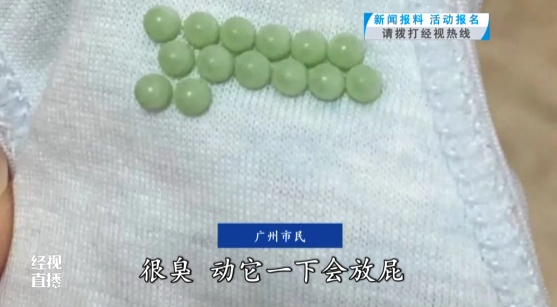 又到高峰期！很多人家中突然大量出现，医生提醒
