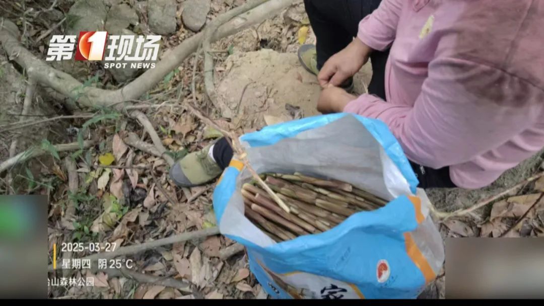 别挖了！别挖了！不好吃！