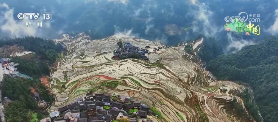 万象“耕”新绘“丰”景 各地多彩春耕画面拼就“三农”丰收盛景图