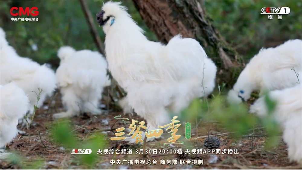《三餐四季》江西篇：邂逅山水至美、人间至味