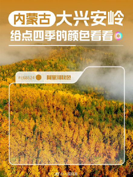 生态之美！大兴安岭给点四季的颜色看看