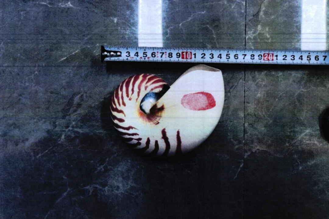 女子网购“漂亮东西”,警察找上门! 女子网购“漂亮东西”,警察找上门!