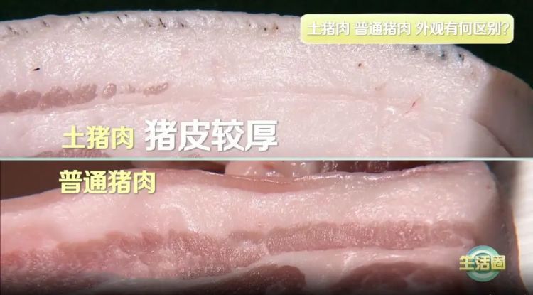 商标暗藏套路？别怕，4招教你分辨“土猪肉”