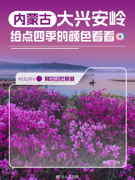 生态之美！大兴安岭给点四季的颜色看看