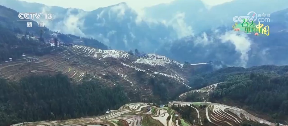 万象“耕”新绘“丰”景 各地多彩春耕画面拼就“三农”丰收盛景图