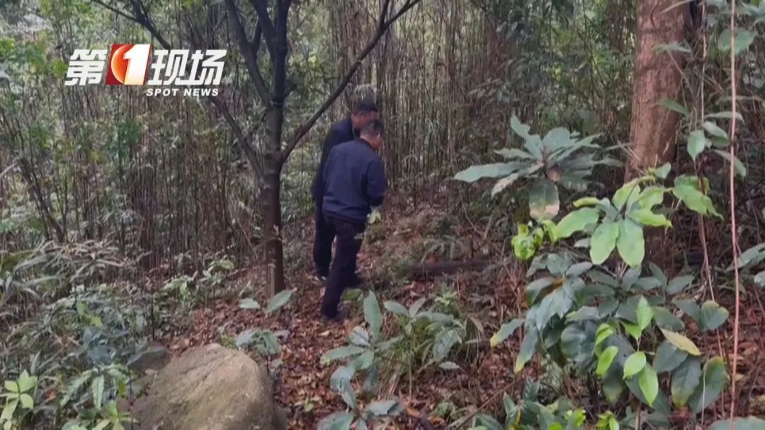 别挖了！别挖了！不好吃！