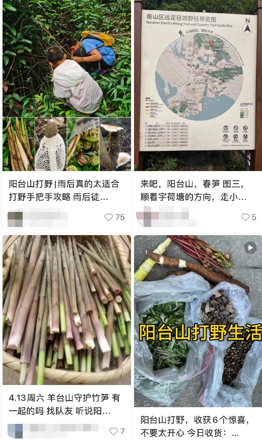 别挖了！别挖了！不好吃！