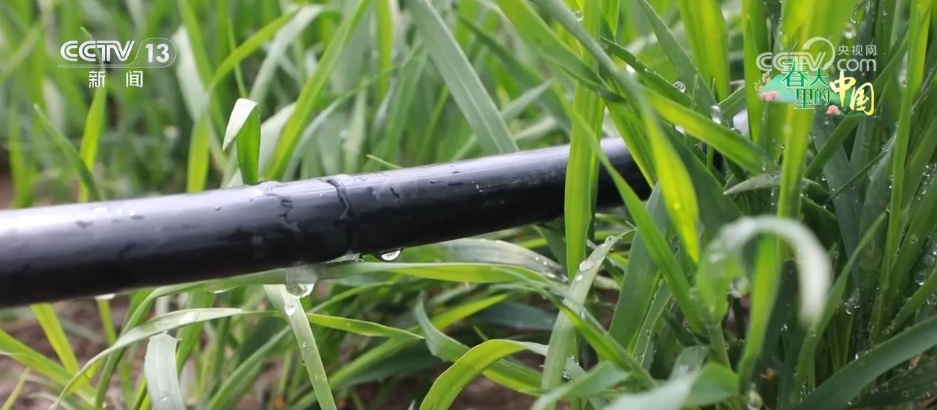 万象“耕”新绘“丰”景 各地多彩春耕画面拼就“三农”丰收盛景图