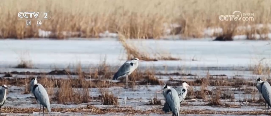 “文体商旅展”活动火热“上新” 多彩“春日经济”焕发消费新活力 “文体商旅展”活动火热“上新” 多彩“春日经济”焕发消费新活力