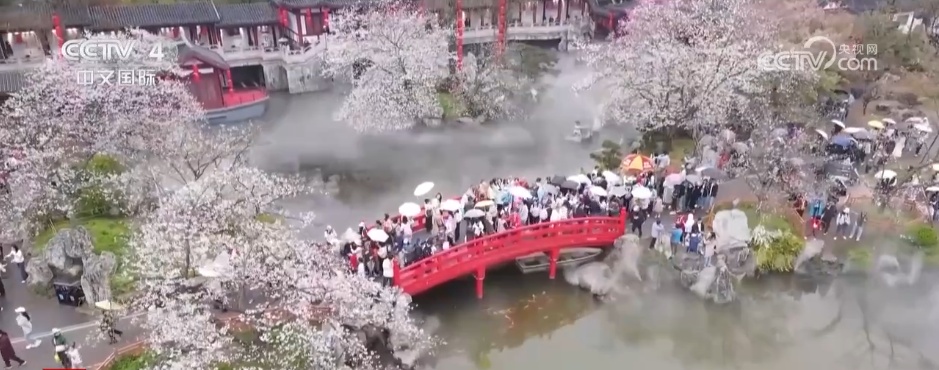 入境游市场火热开局 政策红利让“说走就走”的中国行更便捷 入境游市场火热开局 政策红利让“说走就走”的中国行更便捷