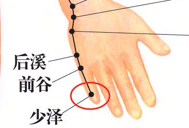 1穴顶19穴!把小拇指这里按红,活气血、通经络、调头痛耳鸣! 1穴顶19穴!把小拇指这里按红,活气血、通经络、调头痛耳鸣!