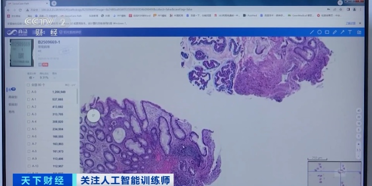 这一职业，突然爆火！简历刚投就被“抢光”
