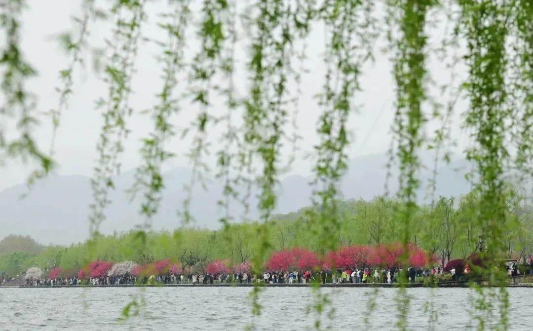 确认了!今天起,杭州持续一周甚至更久...... 确认了!今天起,杭州持续一周甚至更久......