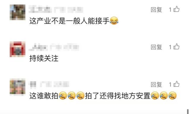 100吨活鳄鱼被拍卖！法院：需“上门自提”