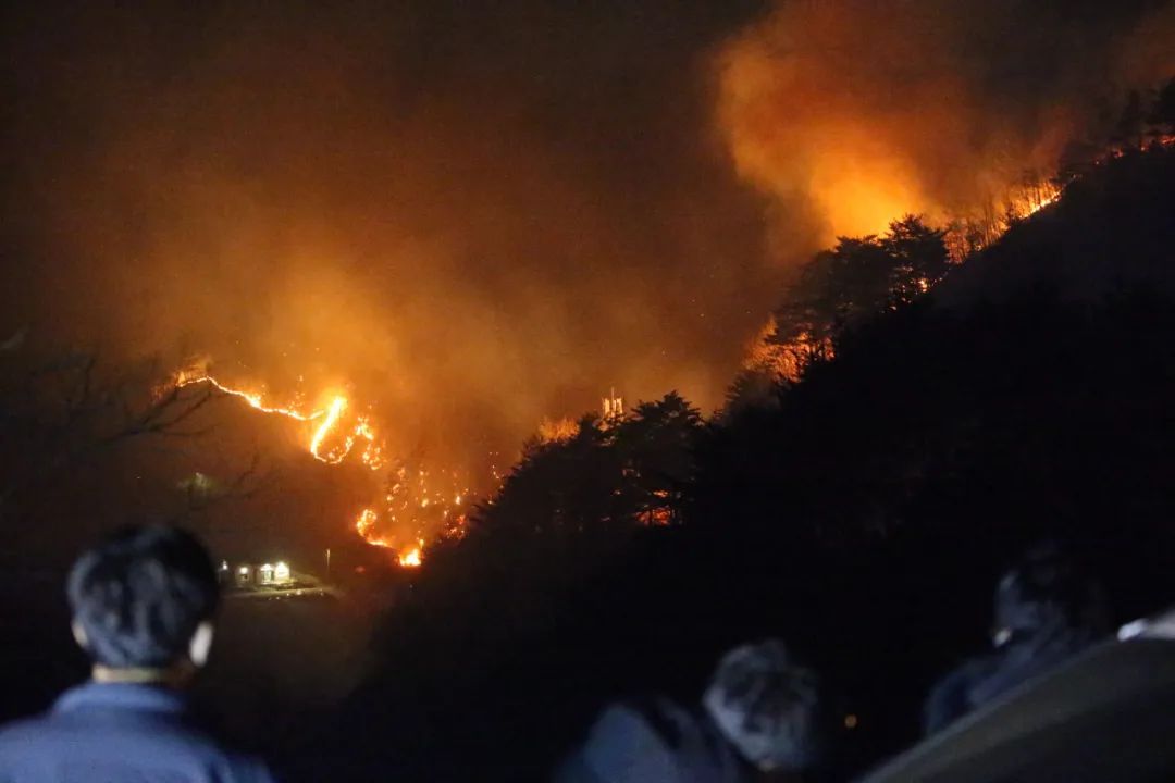 至少30人死亡，数千栋建筑被夷为平地！韩国警方：已找到引发山火嫌疑人