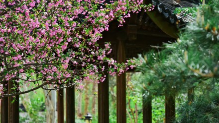 春天的你，喜欢打卡公园吗？