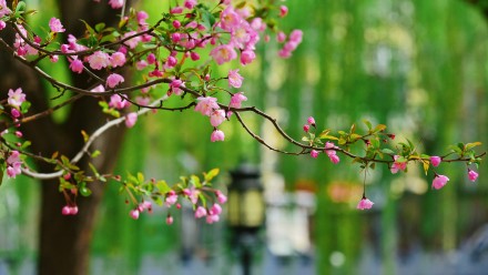 春天的你，喜欢打卡公园吗？