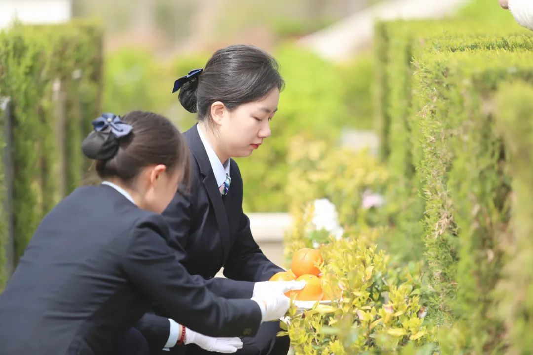 河南00后女孩当“职业扫墓人”：月薪4000多元，每天鞠躬上百次